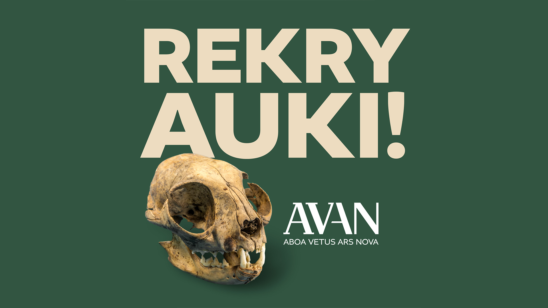 Aboa Vetus Ars Nova hakee museonjohtajaa